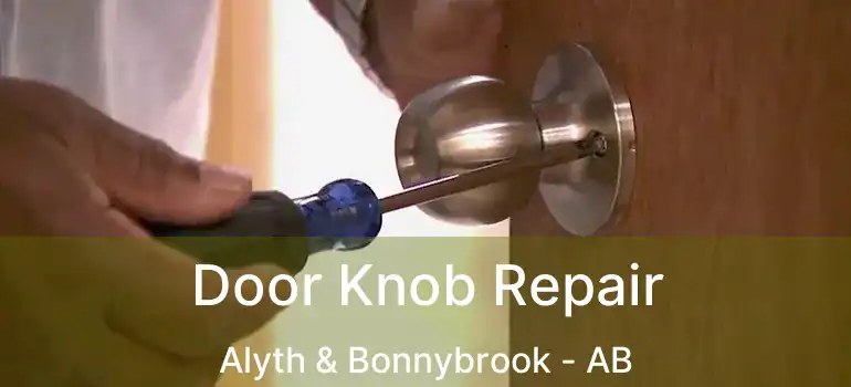  Door Knob Repair Alyth & Bonnybrook - AB
