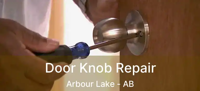  Door Knob Repair Arbour Lake - AB