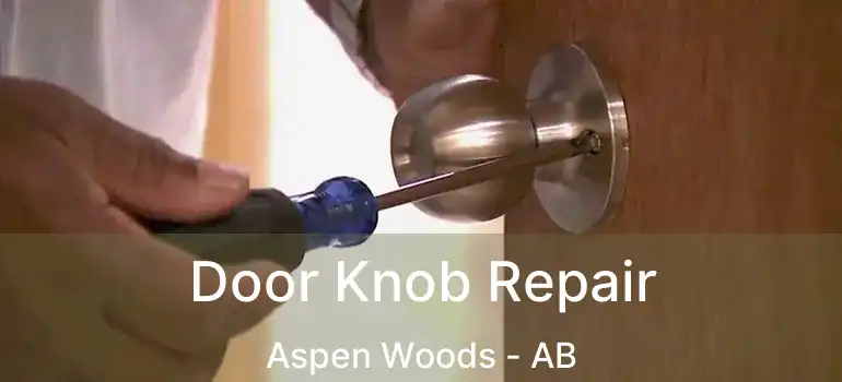  Door Knob Repair Aspen Woods - AB