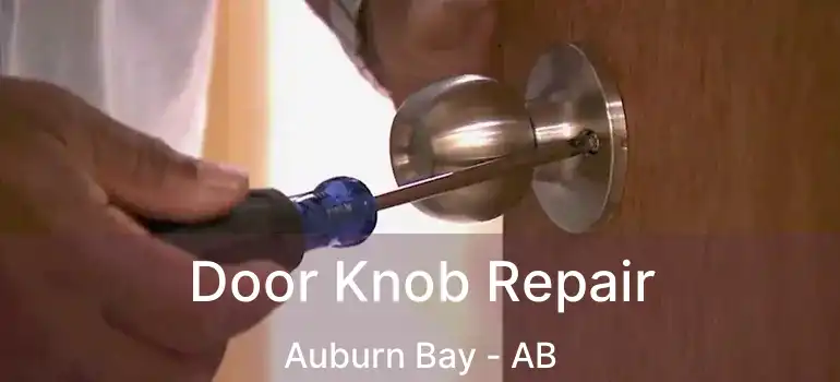  Door Knob Repair Auburn Bay - AB