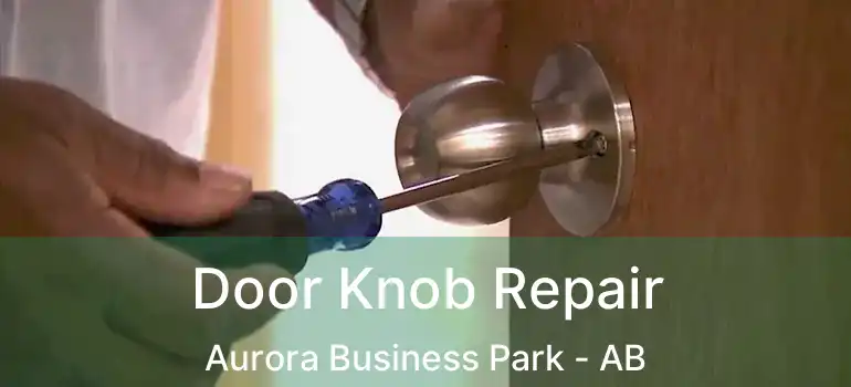  Door Knob Repair Aurora Business Park - AB
