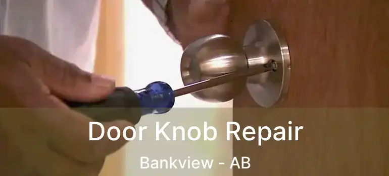  Door Knob Repair Bankview - AB