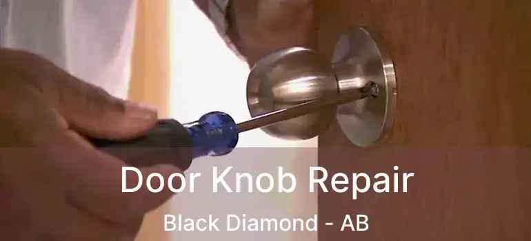  Door Knob Repair Black Diamond - AB