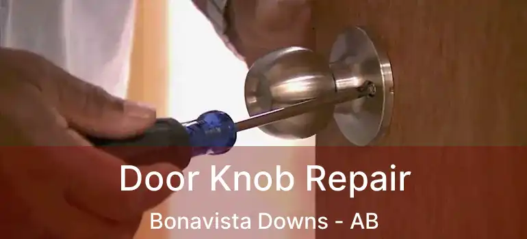  Door Knob Repair Bonavista Downs - AB