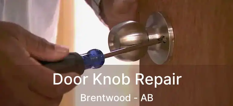  Door Knob Repair Brentwood - AB
