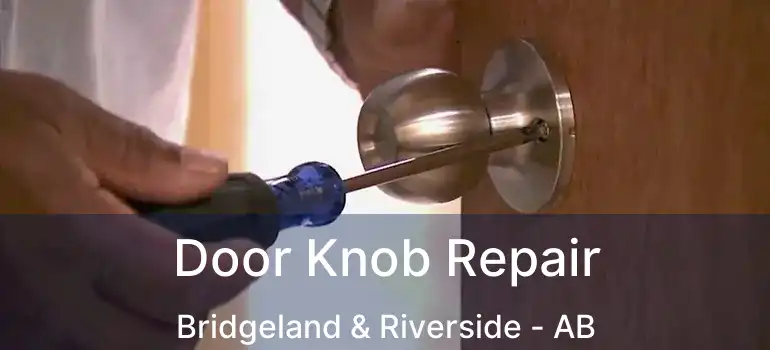  Door Knob Repair Bridgeland & Riverside - AB