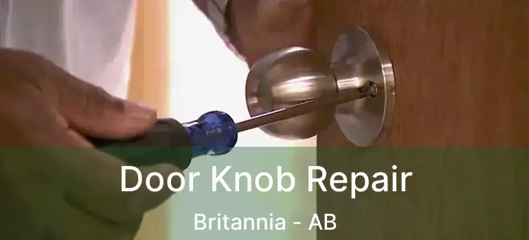  Door Knob Repair Britannia - AB