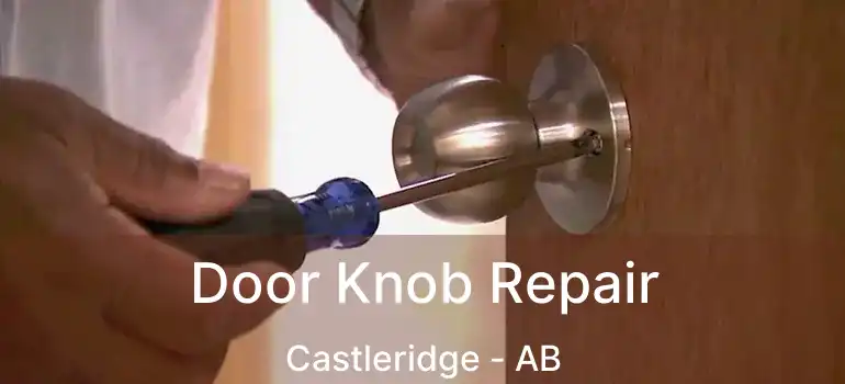  Door Knob Repair Castleridge - AB