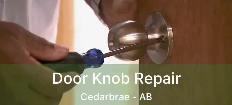  Door Knob Repair Cedarbrae - AB