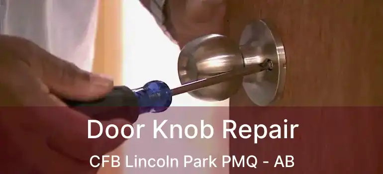  Door Knob Repair CFB Lincoln Park PMQ - AB