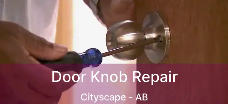  Door Knob Repair Cityscape - AB