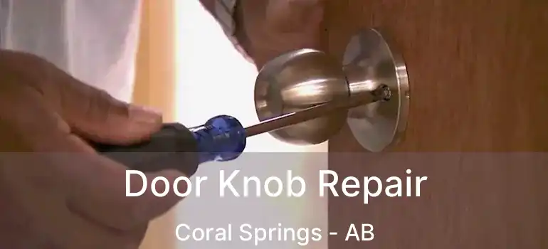  Door Knob Repair Coral Springs - AB