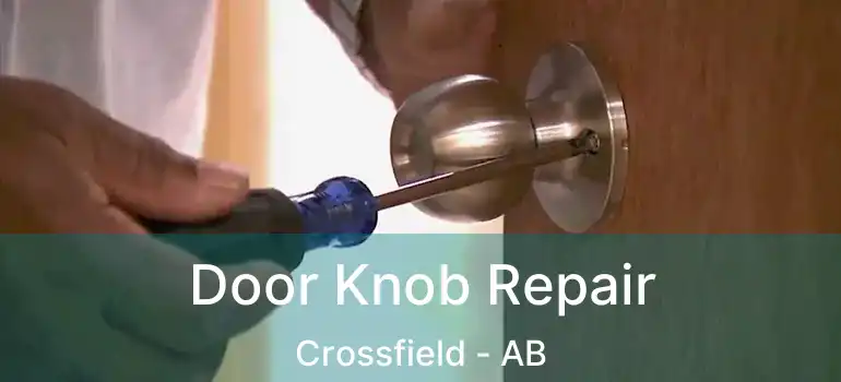  Door Knob Repair Crossfield - AB