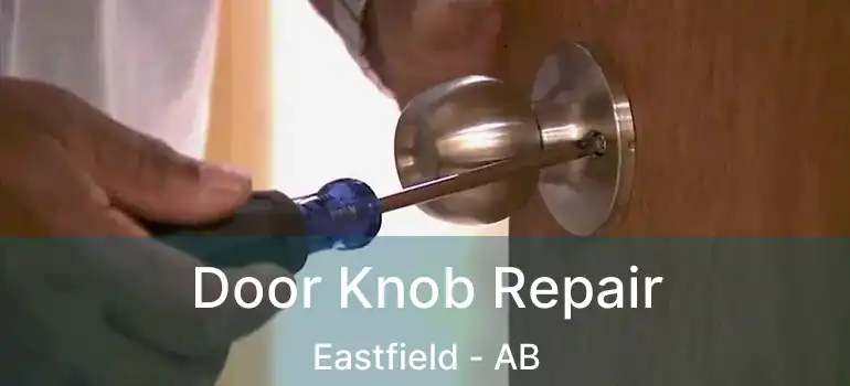  Door Knob Repair Eastfield - AB