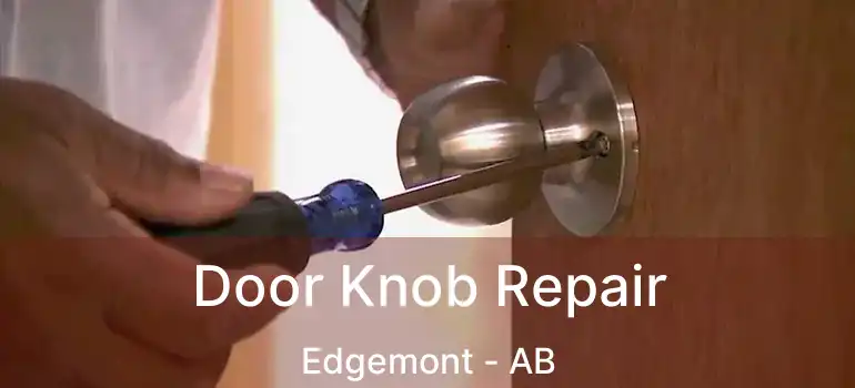  Door Knob Repair Edgemont - AB
