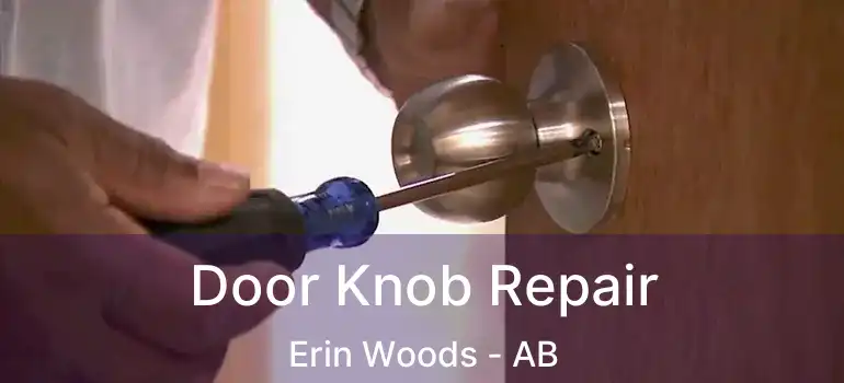  Door Knob Repair Erin Woods - AB