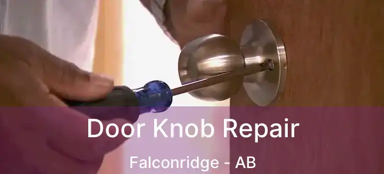  Door Knob Repair Falconridge - AB