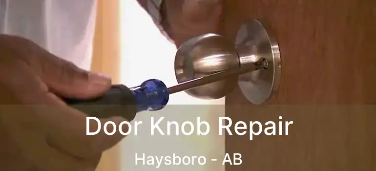  Door Knob Repair Haysboro - AB