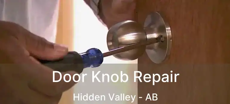  Door Knob Repair Hidden Valley - AB