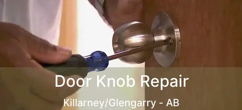  Door Knob Repair Killarney/Glengarry - AB