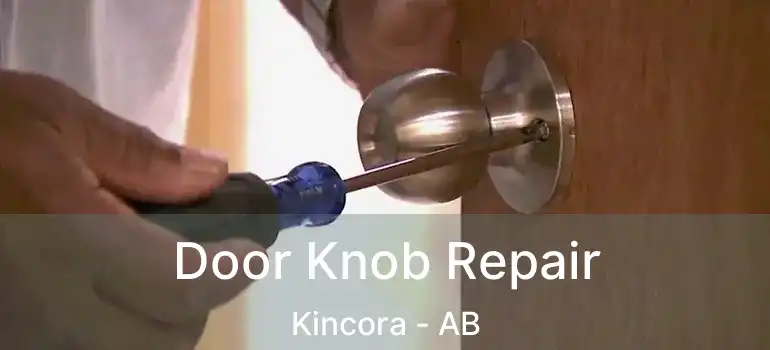  Door Knob Repair Kincora - AB
