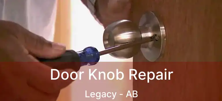  Door Knob Repair Legacy - AB
