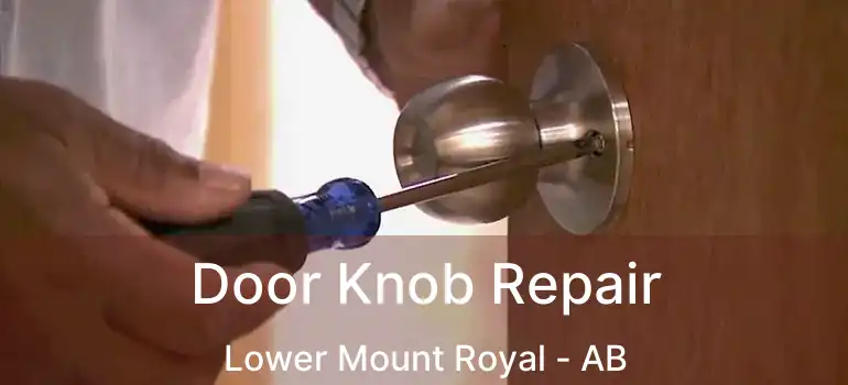  Door Knob Repair Lower Mount Royal - AB