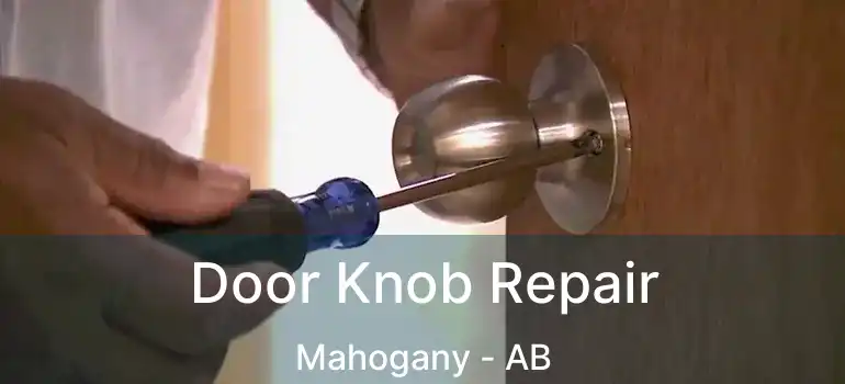  Door Knob Repair Mahogany - AB