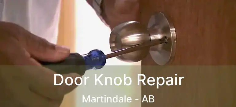  Door Knob Repair Martindale - AB