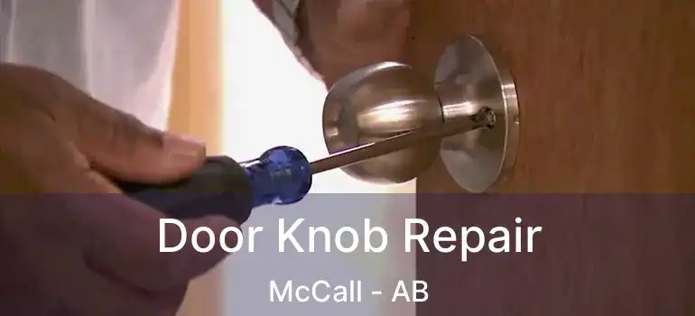  Door Knob Repair McCall - AB