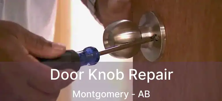  Door Knob Repair Montgomery - AB