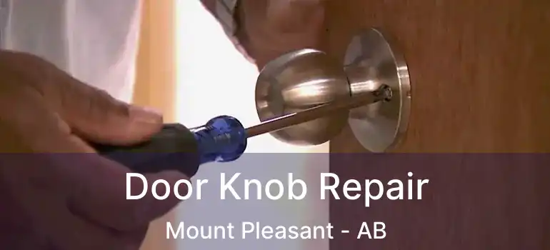 Door Knob Repair Mount Pleasant - AB