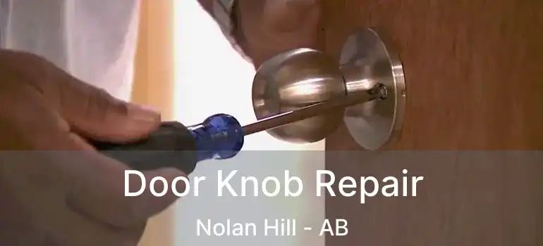  Door Knob Repair Nolan Hill - AB