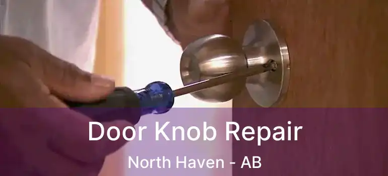  Door Knob Repair North Haven - AB