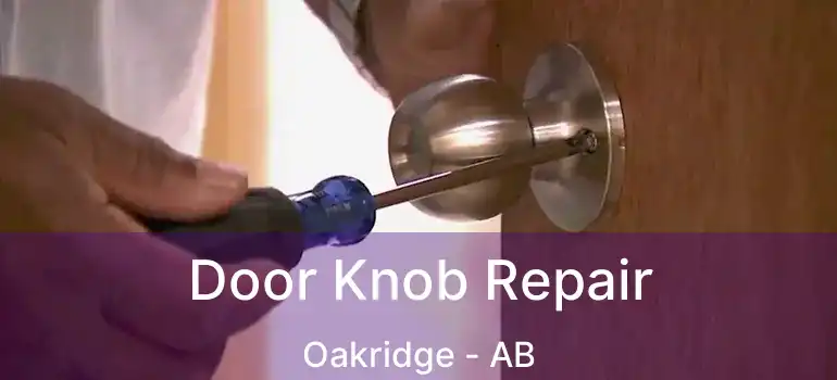  Door Knob Repair Oakridge - AB