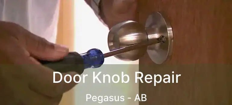  Door Knob Repair Pegasus - AB
