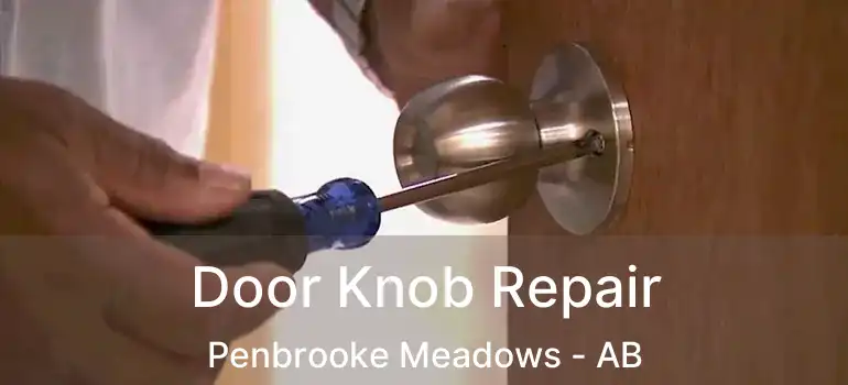  Door Knob Repair Penbrooke Meadows - AB