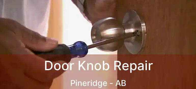  Door Knob Repair Pineridge - AB