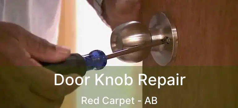  Door Knob Repair Red Carpet - AB