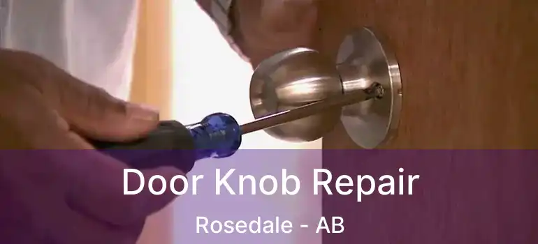  Door Knob Repair Rosedale - AB