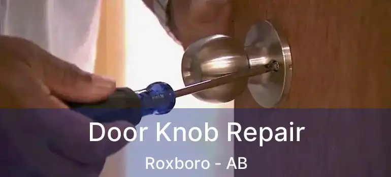  Door Knob Repair Roxboro - AB