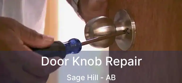  Door Knob Repair Sage Hill - AB