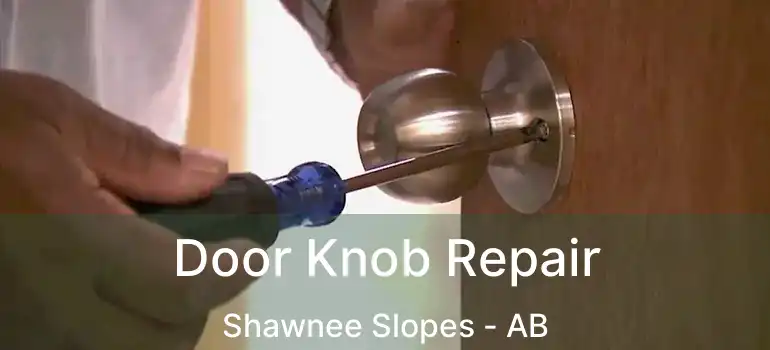  Door Knob Repair Shawnee Slopes - AB