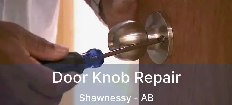  Door Knob Repair Shawnessy - AB