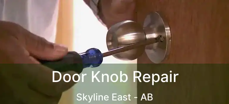  Door Knob Repair Skyline East - AB