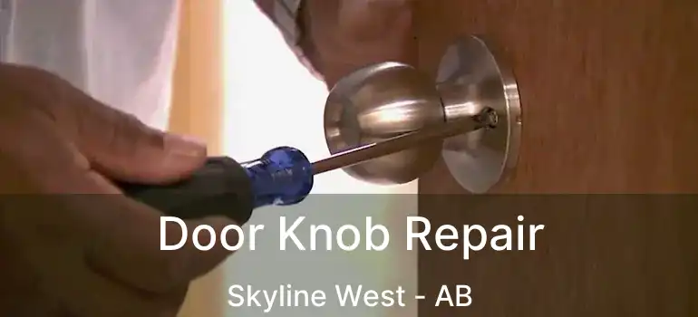  Door Knob Repair Skyline West - AB
