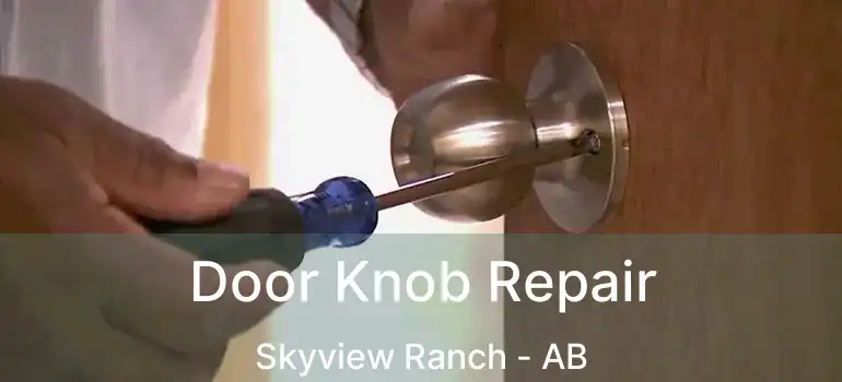  Door Knob Repair Skyview Ranch - AB