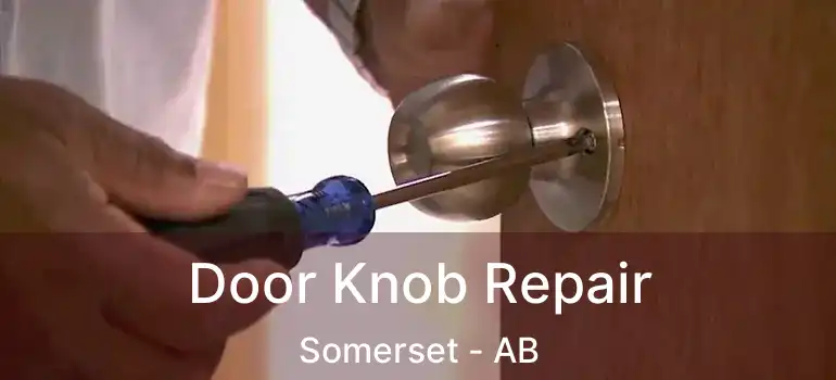  Door Knob Repair Somerset - AB