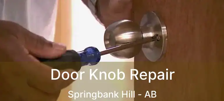  Door Knob Repair Springbank Hill - AB