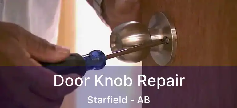  Door Knob Repair Starfield - AB